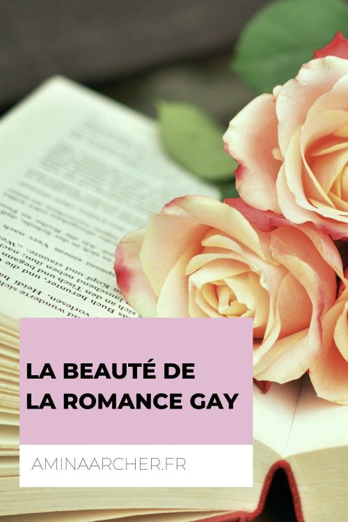 la beuaté de la romance gay la beauté de la romance gay